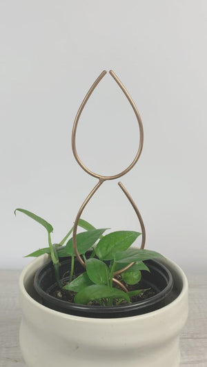 Double Leaf Bronze Plant Stake
