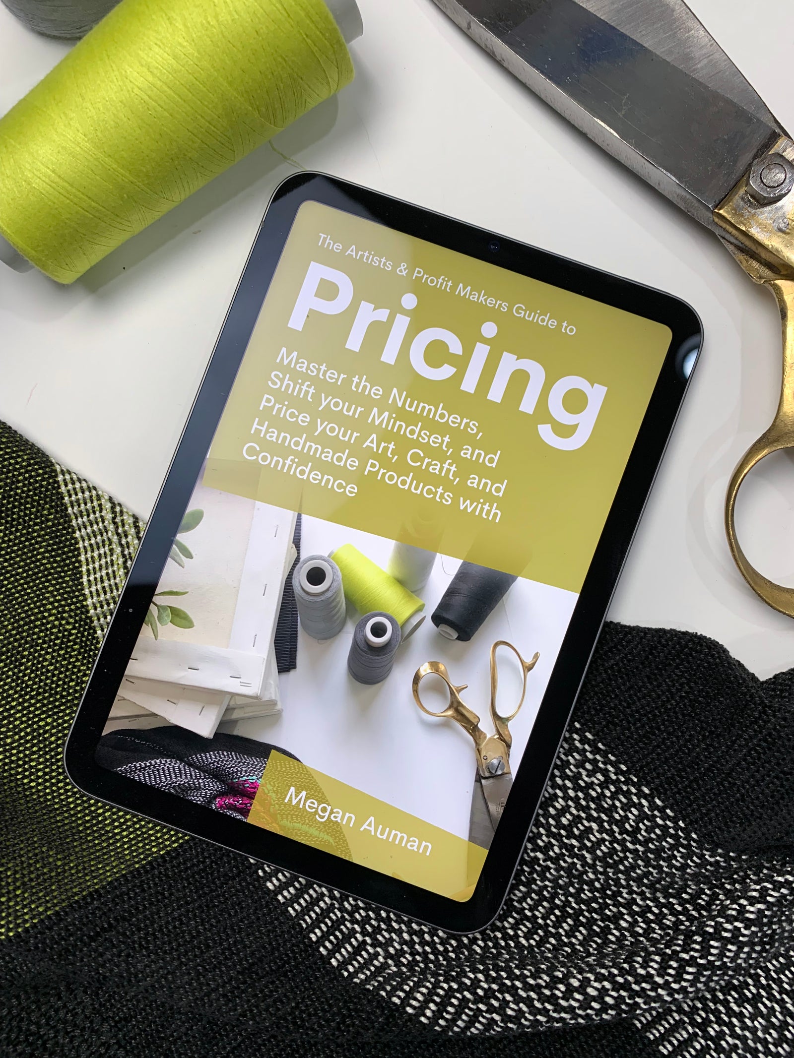 The Artists & Profit Makers Guide to Pricing Digital Edition