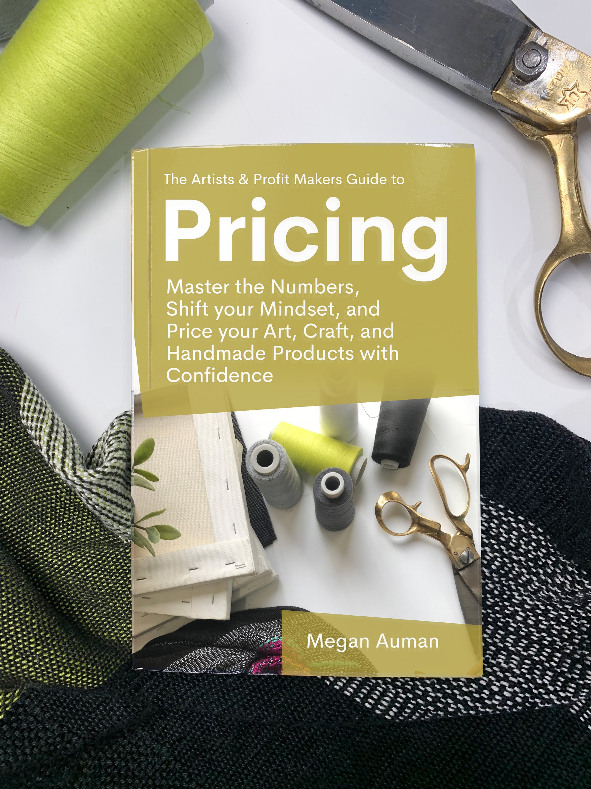 The Artists & Profit Makers Guide to Pricing Signed Paperback PRE-ORDER