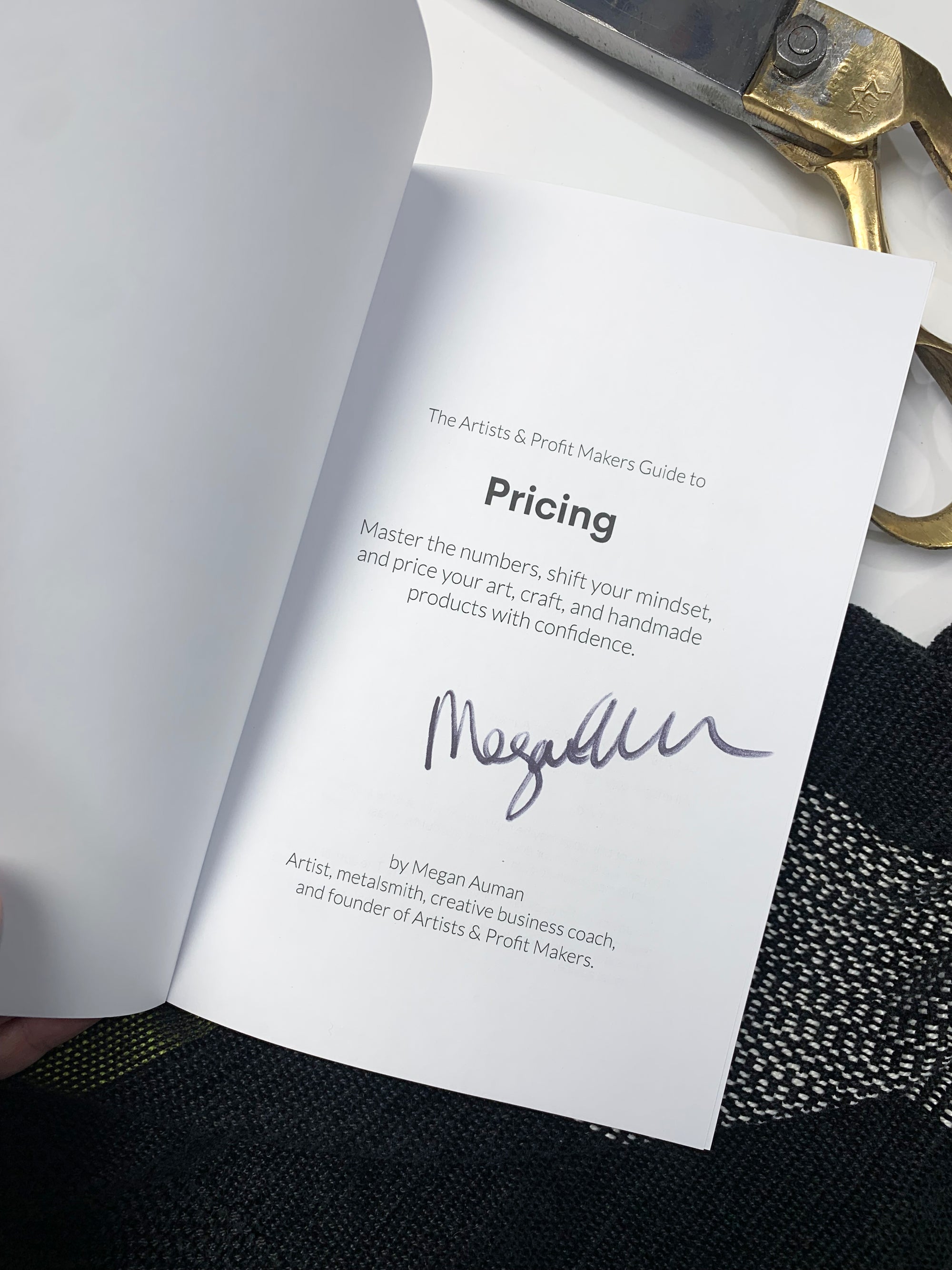 The Artists & Profit Makers Guide to Pricing Signed Paperback PRE-ORDER