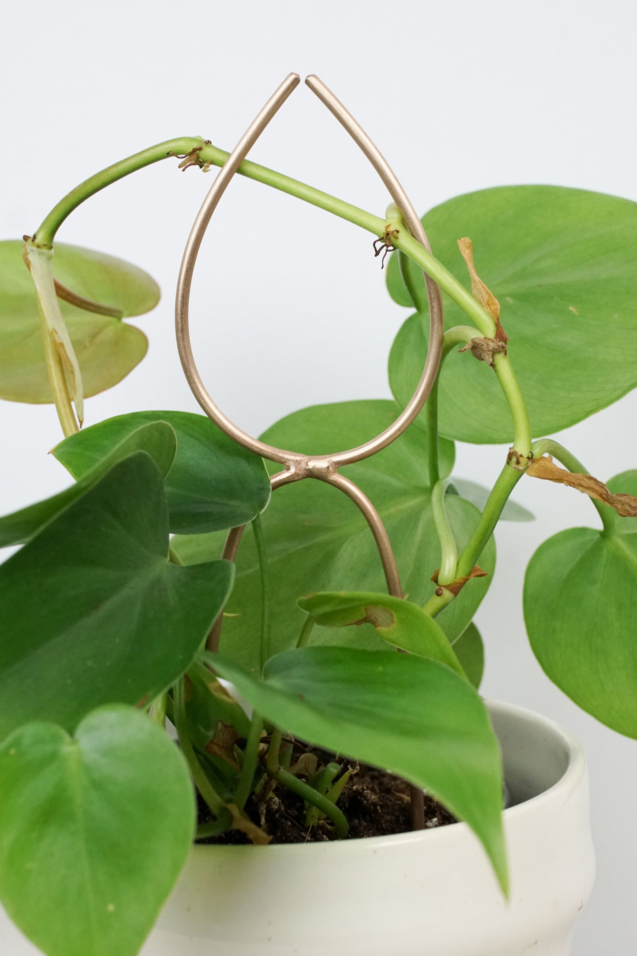 philodendron stake Single Leaf Bronze Plant Stake Indoor Trellis