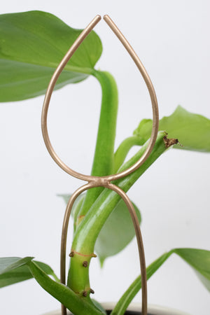 tall indoor plant stakes Tall Single Leaf Bronze Plant Stake Indoor Trellis