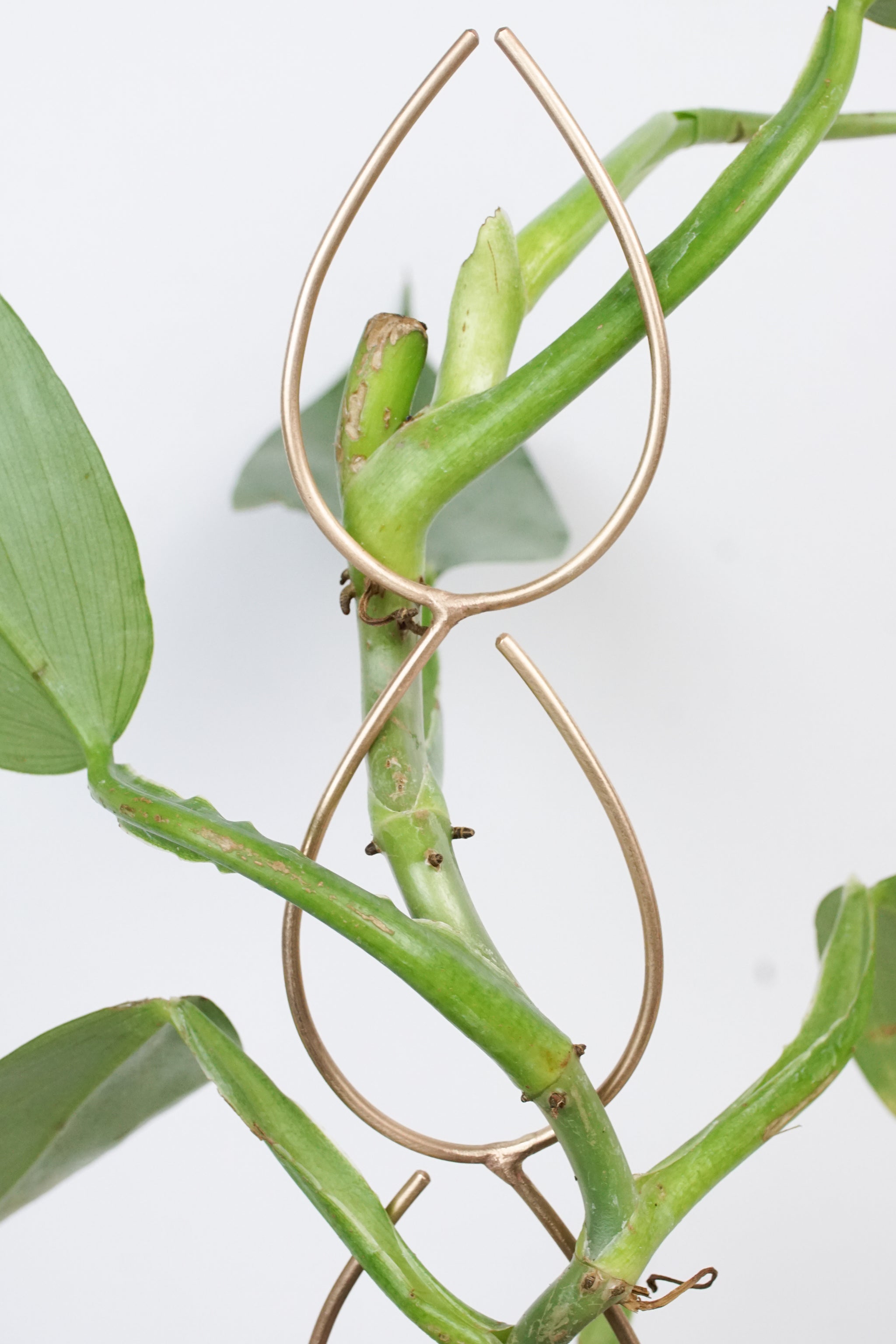 trellis for philodendron Plant Stake Indoor Trellis - Handmade Bronze Triple Leaf Plant Stake