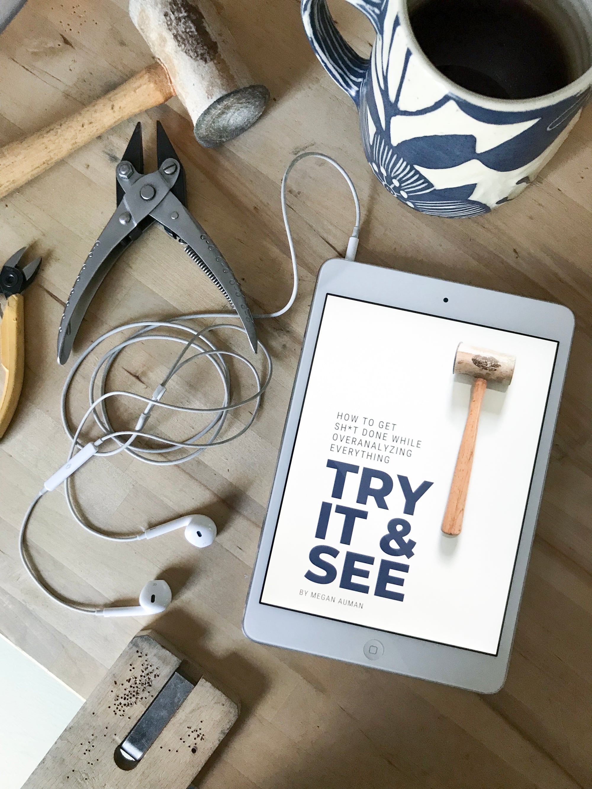Try It & See Digital Bundle: Digital + Audiobook Editions