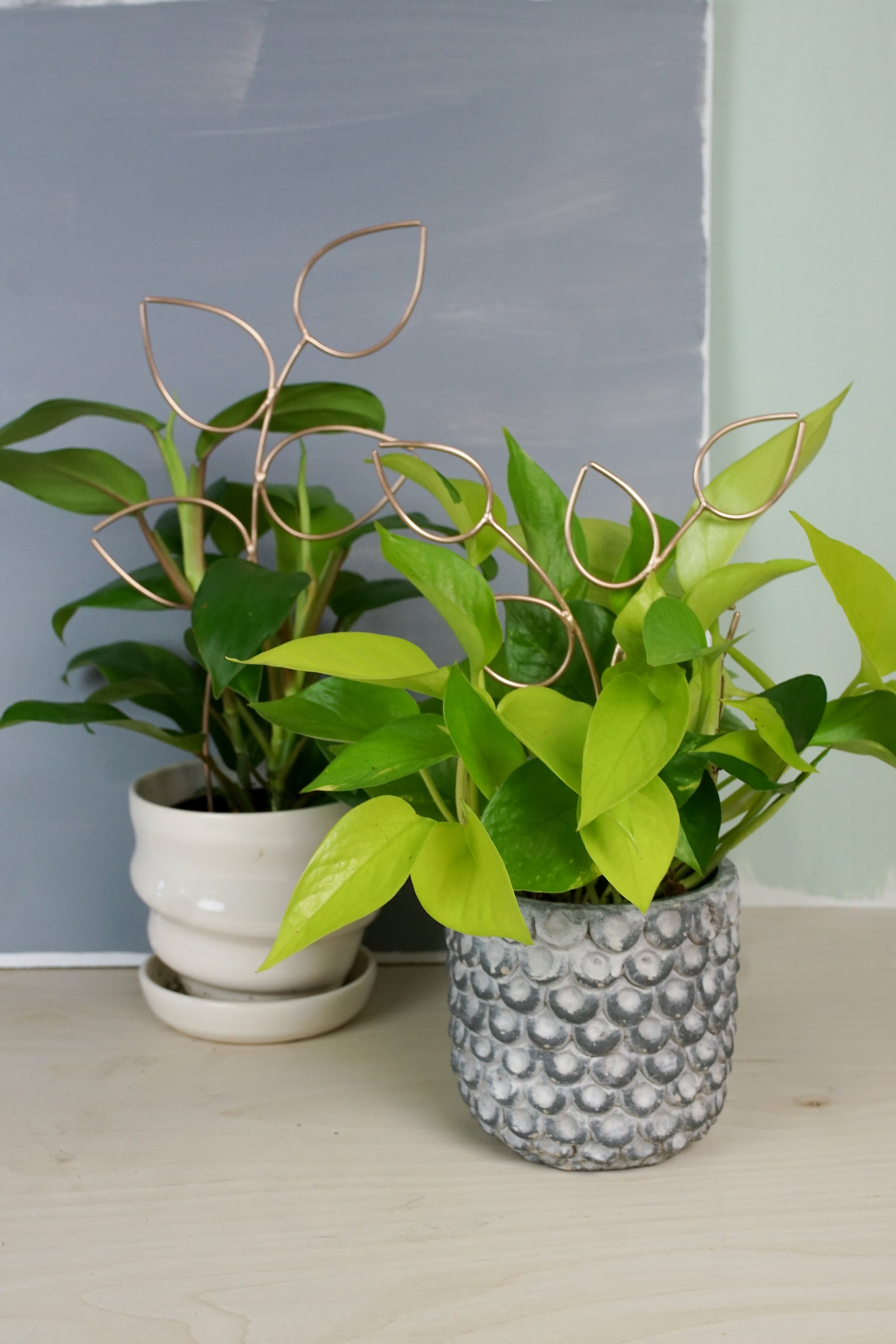 indoor plant stakes Set of Two Vining Bronze Plant Stakes Indoor Trellis
